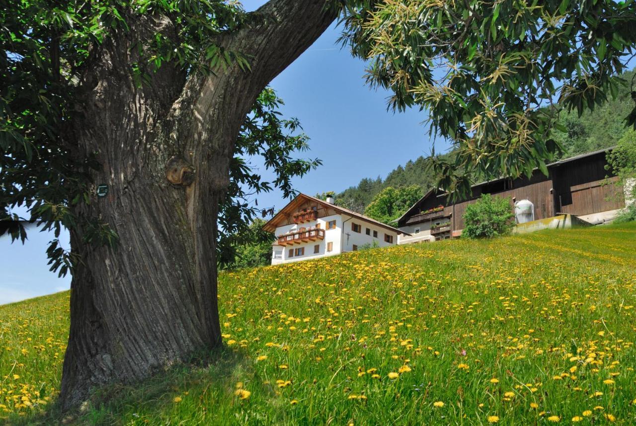 Ferienwohnung Wöhrmannhof Feldthurns Exterior foto